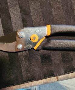 Fiskars Bypass Pruning Shears 5/8” Garden Clippers - Plant Cutting Scissors with Sharp Precision-Ground Steel Blade Bypass Pruner 29 91wY3CdPiBL