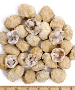 DANCING BEAR 25 Break Your Own Geodes, (Medium 1-1.5") 90% Hollow, Crack Open & Discover Amazing Surprise Crystals Inside! Educational Info and Instructions Included, Fun Party Favors & Prizes Medium (1-1.5") 26 91wbXb8mML