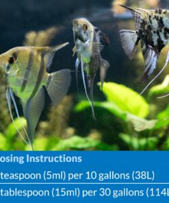 API STRESS COAT Aquarium Water Conditioner 16-Ounce Bottle 16 oz Aquarium Treatment 28 91wdqJnJmJL