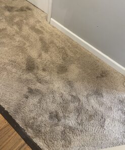 Carpet Miracle - Carpet Cleaner Shampoo Solution for Machine Use, Deep Stain Remover and Odor Deodorizing Formula, Use On Rug Car Upholstery and Carpets (32FL OZ) Spring Mint Scent 32 Fl Oz (Pack of 1) 52 91wfEFyz1sL