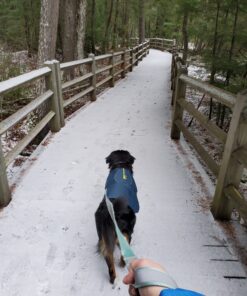 Kurgo Loft Dog Jacket, Reversible Dog Coat, Wear with Harness or Sweater, Water Resistant, Reflective, Winter Coat For Large Dogs (Ink Blue, L) Ink Blue/Seaglass 33 91wuSvAs78L