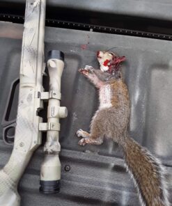 Daisy 880 Air Rifle with Scope, Brown, 177 Caliber .177 Starter Pack 40 91wybkf r7L