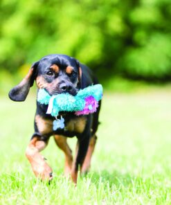 KONG - Cozie Marvin Moose - Indoor Cuddle Squeaky Plush Dog Toy - for Small Dogs Gold,brown 21 91wzbhqsYaL