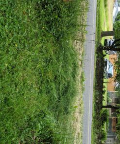 Greenworks 40V 16" Cordless (Push) Lawn Mower (75+ Compatible Tools), 4.0Ah Battery and Charger Included 16" Mower (4.0Ah) 51 91x1dIsGujL