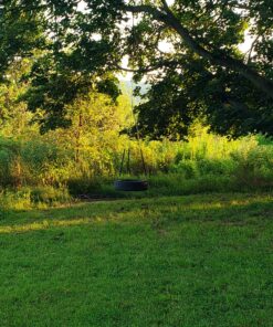Easy Hang (4FT) Tree Swing Strap X1 - Holds 2200lbs. - Heavy Duty Carabiner - Bonus Spinner - Perfect for Tire and Saucer Swings - 100% Waterproof - Easy Picture Instructions - Carry Bag Included! 4 Feet Single 25 91x55Rpw2nL