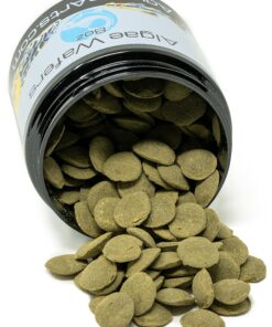 Aquatic Arts Algae Wafers (8 Ounce) Sinking Food for Live Aquarium Shrimp, Fish (Pleco/Tetra), Snails, and Bottom Feeders | High Protein Spirulina Blend Fish Food for Fish Tank Aquariums 23 91xbeGBsdZS