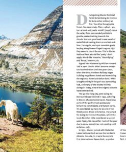 National Parks of America 1: Experience America's 59 National Parks (Lonely Planet) 16 91xpKzAl3L