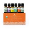 Plant Therapy Top 6 USDA Organic Essential Oil Set - Lavender, Peppermint, Eucalyptus, Lemon, Tea Tree 100% Pure, Natural Aromatherapy, for Diffusion & Topical Use, Therapeutic Grade 10 mL (1/3 oz) Top 6 Organic 0.33 Fl Oz (Pack of 6) 22 91xt7mmC8yL
