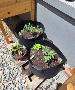 VIVOSUN 5-Pack 10 Gallon Plant Grow Bags, Heavy Duty Thickened Nonwoven Fabric Pots with Handles Black 10 Gallons 45 91y0l19iH8L