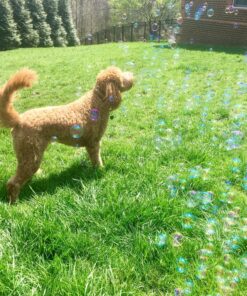 Gazillion Tornado Bubble Machine - Kids Bubble Blower - Blows 4500 Bubbles per Minute - Ideal for Outdoor Fun & Parties - Includes 4 oz. Gazillion Bubble Non-Toxic Solution Green 34 91y51pRgqL