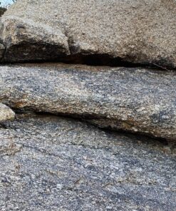 Seek Thermal CompactXR – Outdoor Thermal Imaging Camera for iOS, Black (LT-AAA) 65 91y58N07dWL