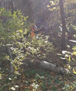 GhostBlind 4-Panel Predator Blind, Silver 39 91y6PIj0qbL