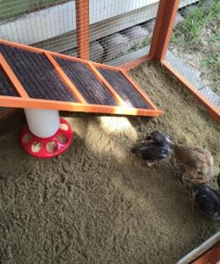 TRIXIE Pet Products Chicken Coop with Outdoor Run, 66.75 x 30.25 x 41.25 inches 66.8"L x 30.3"W x 41.3"H 51 91y94MC0G2L