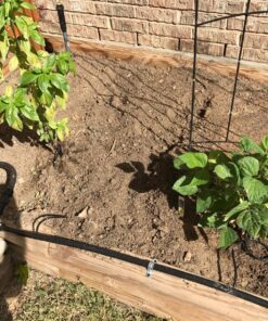 Orbit 62024 Single-Dial Hose Watering Digital Timer 1 14 91yMEHPYWYL