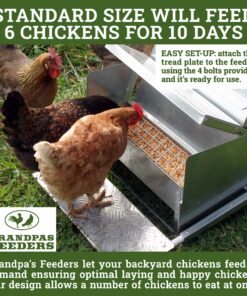 Grandpa's Feeders Automatic Chicken Feeder - Sturdy Galvanized Steel Poultry Feeders - No Spill with Weatherproof Lid - Standard Size for 6-12 Chickens 10 Days (20lb Feed) Silver 14 lb 25 91yN uIDadL