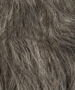 Rubies The Hobbit Gandalf Beard Costume Wig Kit- One Size 23 91yNLRfebJL