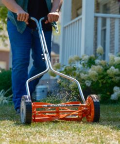 American Lawn Mower Company 1204-14 14-Inch 4-Blade Push Reel Lawn Mower, Red 14-Inch, 4-Blade 43 91yawf9TsML