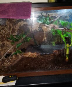 Great Stuff 283064 12OZ GS Pond&Stone Foam Sealant, Each, Black Pond & Stone 42 91yjs 8PyL