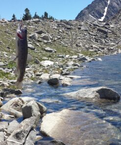 Eagle Claw PK56TS Pack-It Spin Combo Telescopic Rod (1 Piece), Yellow, 5-Feet 6-Inch 31 91ypDhG6bL