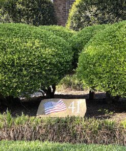 ARTEZA Outdoor Acrylic Paint Set, 20 Colours, 59 ml Bottles, with Storage Box, Rich Pigments, Multi-Surface Paints for Rock, Wood, Fabric, Leather, Paper, Crafts, Canvas and Wall Painting 20 x 59ml (2 fl oz) Outdoor 33 91z9CRGefL