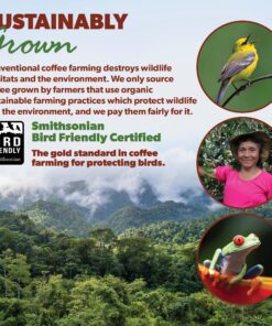 Java Planet Low Acid Coffee, Organic Guatemala Single Origin: Whole Bean Medium Roast - Smooth Full Flavored Coffee Bean, Smithsonian Bird Friendly, Two 1LB Bags 1 Pound (Pack of 2) 26 91zEpEYQ6hL 1