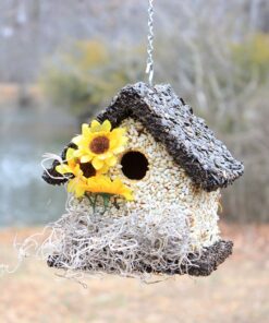 Edible Birdhouses | Reseedable Wooden Birdhouse Covered w/Birdseed | Squirrel Proof Bird Feeder | Made in The USA (SD) Short Dark Roof 24 91zHiN7EbLL