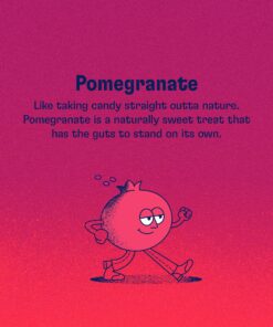 Health-Ade Canned Kombucha Tea Organic Drink, Fermented Tea with Living Probiotics, Detoxifying Acids, Supports Gut Health, Non-GMO, Vegan, Gluten Free, 12 Pack (11.5 Fl Oz Cans), Pomegranate Kombucha in Cans 17 91zpSGD6B9L 1