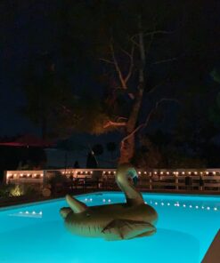 Jasonwell Giant Inflatable Pool Float - Golden Swan Pegasus Pool Floatie Summer Beach Swimming Outdoor Pool Party Lounge Raft Decorations Toys for Adults & Kids Gold Swan 39 91zq5l2wryL