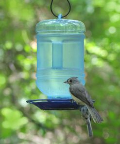 Perky-Pet 780 Outdoor Hanging Water Cooler Bird Waterer and Dispenser,Blue, 1.5 Qt Capacity 30 91zvXhHz77L