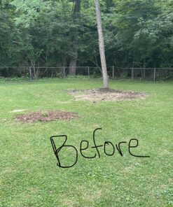 Scotts EZ Seed Patch and Repair Sun and Shade for Grass: Covers up to 225 sq. ft., 10 lb. 10 lb. 1 Pack 58 91zzoBaIXFL