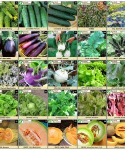 Heirloom Seeds for Planting Vegetables and Fruits - Survival Essentials 135 Variety Seed Vault - Medicinal Herb Seeds - Grow Healthy Non-GMO Food 45 A10 N3aXEkL