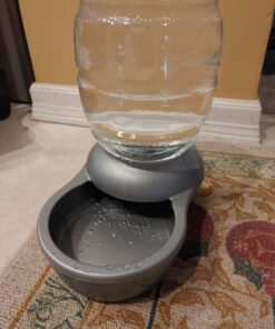 Petmate Replendish Automatic Gravity Waterer for Cats and Dogs, BPA-Free, No Batteries Required, Includes Charcoal Filter, 0.5 Gallon,Silver Silver 0.5 GAL 63 A10ISwYg6LL