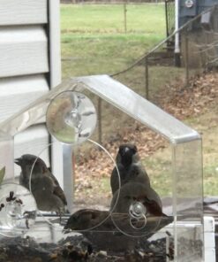 Nature Gear Window Bird Feeder - Refillable Sliding Tray - Weather Proof - Snow and Squirrel Resistant - Drains Rain Water - See Songbirds from Home! (House Style) (House Model) House 41 A10TE8Ml2WL