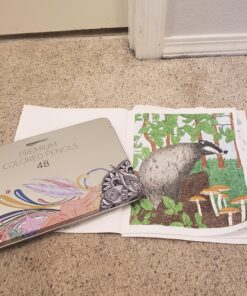 Amazon Basics Premium Colored Pencils, Soft Core, 48 Count Set 48 Count (Pack of 1) 37 A10Z0zihsvL