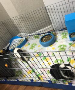 Kaytee Gravity Bin Feeder With Bracket Assorted 44 A10f76AgzWL