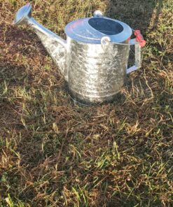 Behrens 2-1/2-Gallon 210 Steel Watering Can, Silver 25 A10lCR3WeFL