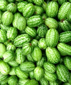 Mexican Miniature Watermelon 15 Seeds -Melothria scabra 14 A111o8qzCaL