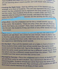 Learning Resources Vowel Owls Sorting Set, Word Recognition, Assorted Colors, Set of 6, Ages 5+ 34 A11AGUA5unL