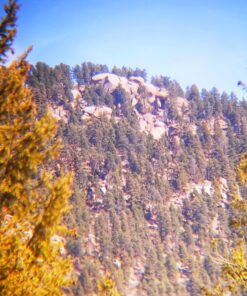 Vortex Optics Solo Monocular 10x36 39 A11MDDiyXXL