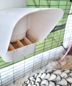 Royal Rooster Automatic Chicken Feeder with Gravity Feed Dispenser - 7lb Feeder for Chickens, Chicks & Mixed Poultry - Hanging Chicken Poultry Feeder - Auto PVC Chicken Poultry Feeder with Rain Cover 40 A12whZWIxFL 1