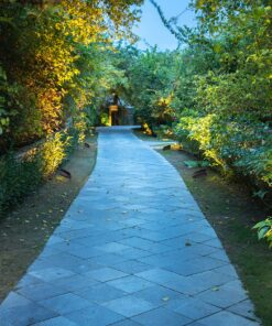 Nuvo SF76/646 One-Light Halogen Landscape Floodlight, Dark Bronze, 6.25-Inches 6.25 in 21 A13PhB9pwYL