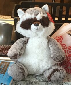 Aurora® Snuggly Sweet & Softer™ Rocky Raccoon™ Stuffed Animal - Comforting Companion - Imaginative Play - Gray 11.5 Inches 12 inches 23 A13SzQGVAL