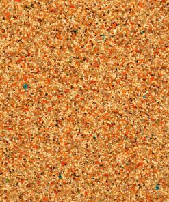 Volkman Avian Science Super Parakeet Bird Food 4lb 4 Pound (Pack of 1) 16 A13gsx3YcKL