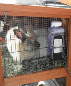 Farm Innovators Model HRB-20 Heated Water Bottle for Rabbits, 32-Ounce, 20-Watt, 4.2 x 4.2 x 11.5 inches ; 1 pounds, White 14 A14KledW3wL