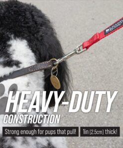 Leashboss Short Dog Leash for Dog Training | Padded Traffic Handle Short Leash for Dog Training, Total Comfort When Dog Walking | Traffic Leash for Dogs Large, Medium, Small | Short Nylon Dog Lead 12 Inch Black/Red/Grey 31 A150lfk6vJL 1