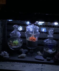 MyGift Clear Glass Apothecary Jars with Lid, Decorative Seashell Design Bathroom Canister, Footed Candy Buffet Containers, Set of 3 29 A15IfWVkf8L