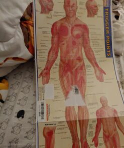 Trigger Points (Quick Study Academic) Pamphlet, Illustrated 19 A161rR5yjqL