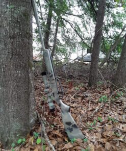 Daisy 880 Air Rifle with Scope, Brown, 177 Caliber .177 Starter Pack 41 A165hcO57BL