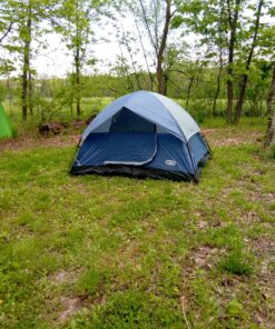 Pacific Pass 2/4/6 Person Family Dome Tent with Removable Rain Fly, Easy Setup for Camp Outdoor Navy Blue 4 Person 41 A16FfnVezL