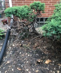 BLACK+DECKER 20V Max Cordless Chainsaw, 10-Inch, Tool Only (LCS1020B) 20V Chainsaw (Tool Only) 47 A17eP4eY5LL